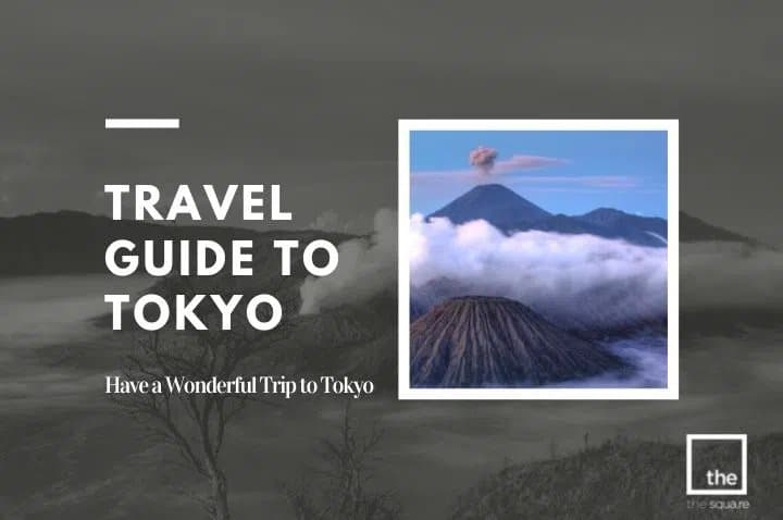 Travel Guide to Tokyo