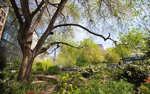 Things to Do in Gramercy Park, New York