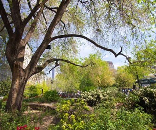 Things to do in Gramercy Park